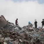 Report: Rats, Insects and the Rise of Pest-Linked Diseases in Gaza