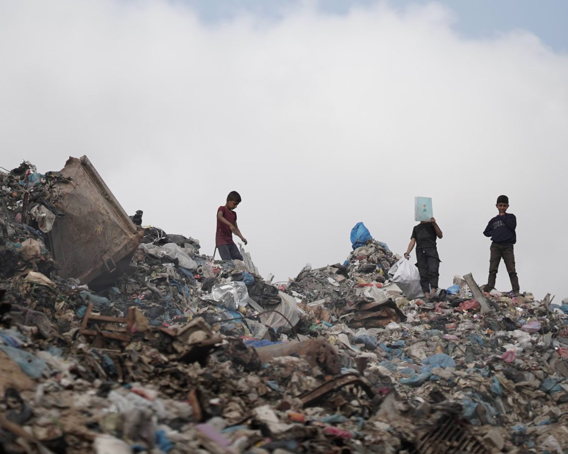 Rise of Pest linked Diseases in Gaza