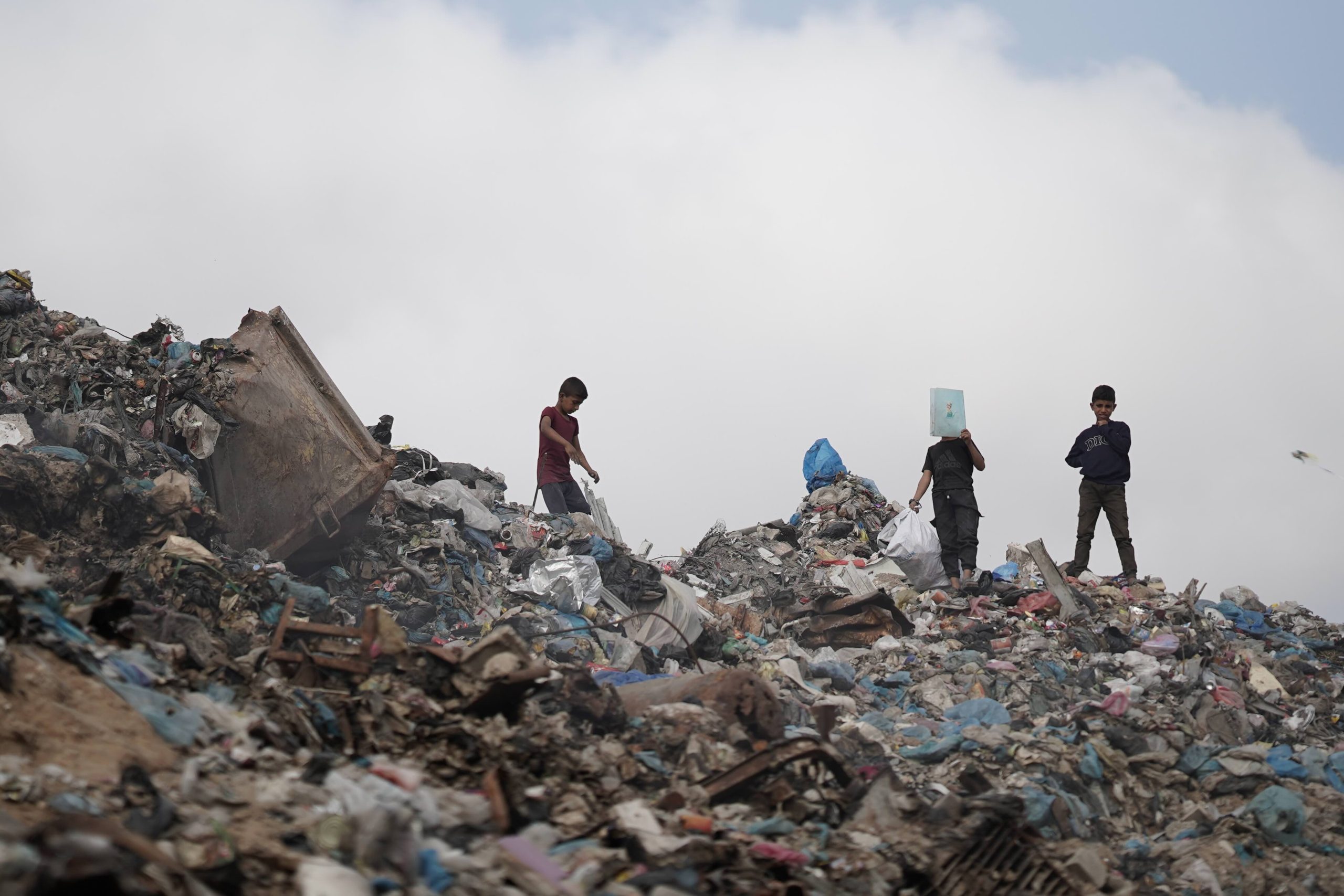 Rise of Pest linked Diseases in Gaza