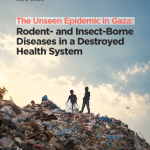 The Unseen Epidemic in Gaza